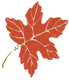 leaf