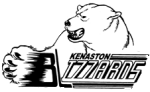 Blizzards Logo
